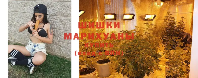 Каннабис LSD WEED  где можно купить наркотик  Тайга 